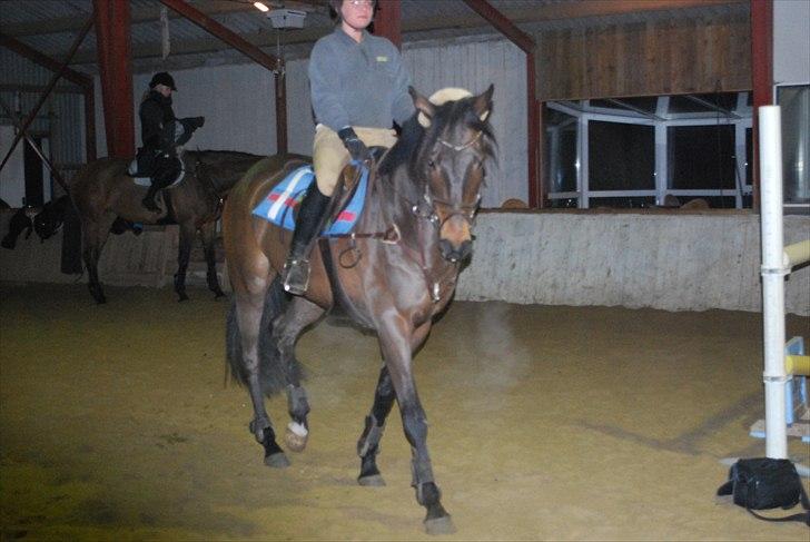 Irsk Hunter Parker Coin billede 11