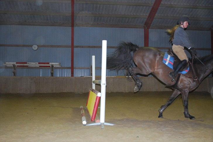 Irsk Hunter Parker Coin billede 12