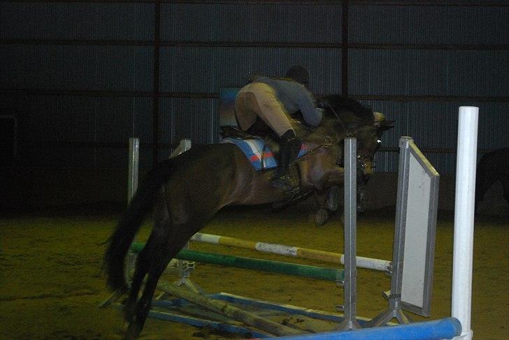 Irsk Hunter Parker Coin billede 13