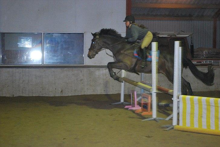 Irsk Hunter Parker Coin billede 14