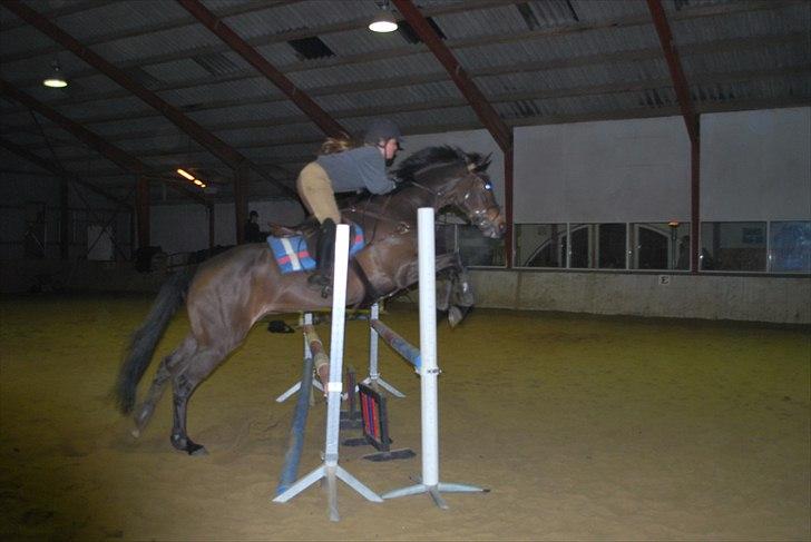 Irsk Hunter Parker Coin billede 15