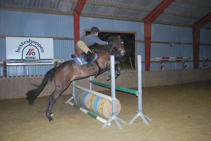 Irsk Hunter Parker Coin billede 16