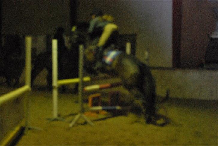 Irsk Hunter Parker Coin billede 17