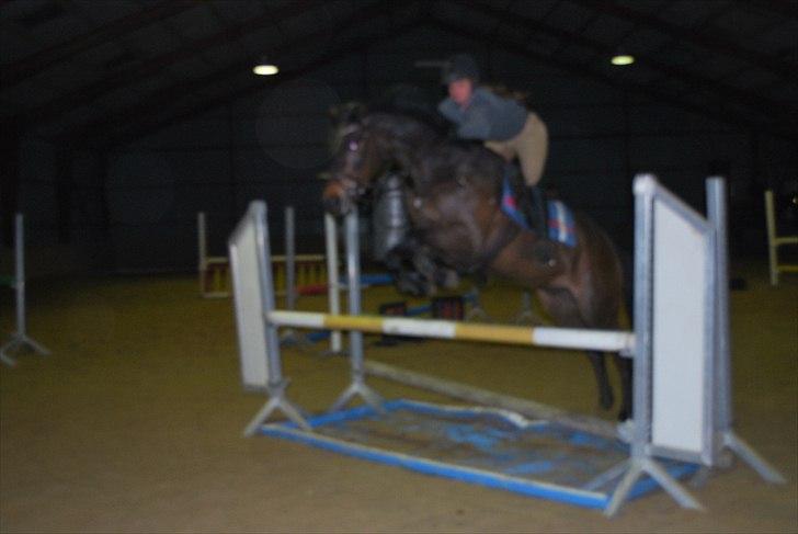 Irsk Hunter Parker Coin billede 18