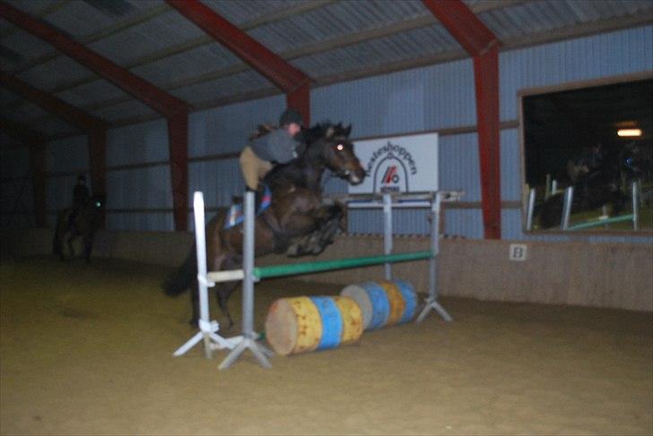 Irsk Hunter Parker Coin billede 19