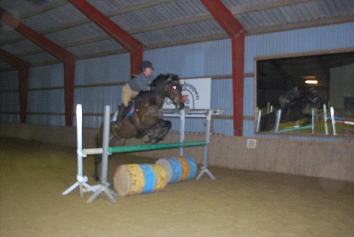 Irsk Hunter Parker Coin billede 20