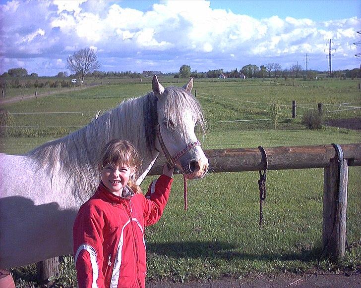 Welsh Mountain (sec A) Lundehuset's Misty SOLGT - Mig og misty da jeg lige havde fået hende <3 billede 9