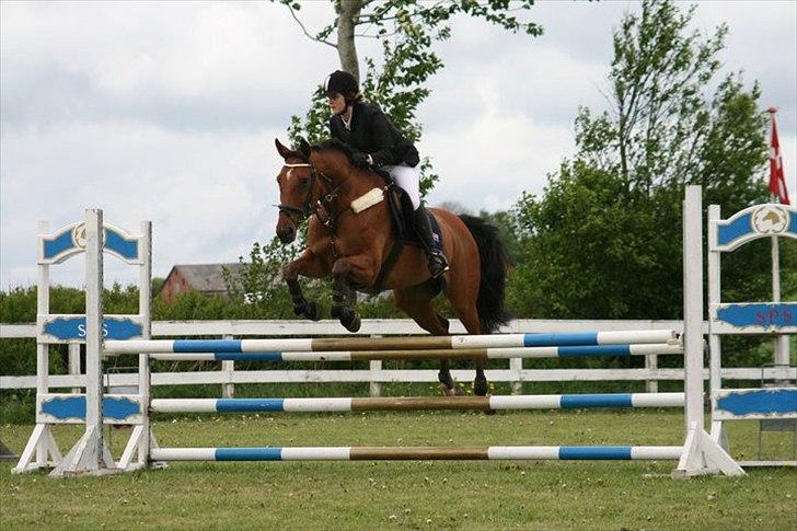 Dansk Varmblod Chili Z Ramona - Chili og jeg i en LC på SPS D. 14/5 - 2011.. Her i en 0 rundte :D billede 2