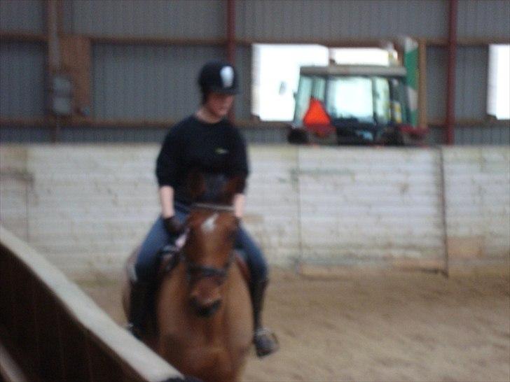 Dansk Varmblod Chili Z Ramona - Chili og jeg til dressur undervisning ved David Amager. Desværre meget dårlig billedkvallitet.  billede 3