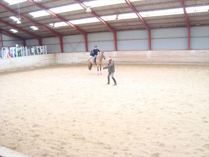 Dansk Varmblod Chili Z Ramona - Chili og jeg til dressur undervisning. Af med jakken imens David forklare mig noget  billede 5