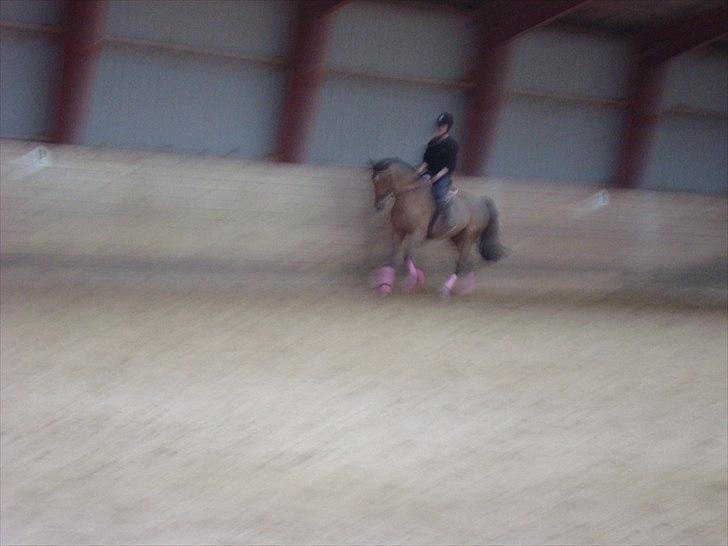 Dansk Varmblod Chili Z Ramona - Chili og jeg til dressur undervisning ved David Amager. Hun går meget fint der men desværre meget dårlig billedkvallitet.  billede 6