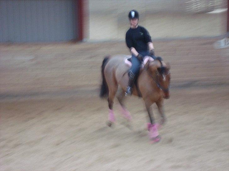 Dansk Varmblod Chili Z Ramona - Chili og jeg i galop på cirkelvolte :* billede 9