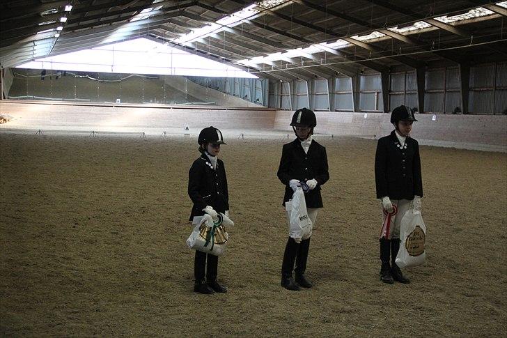 DSP Nørlunds Magic Boy billede 19