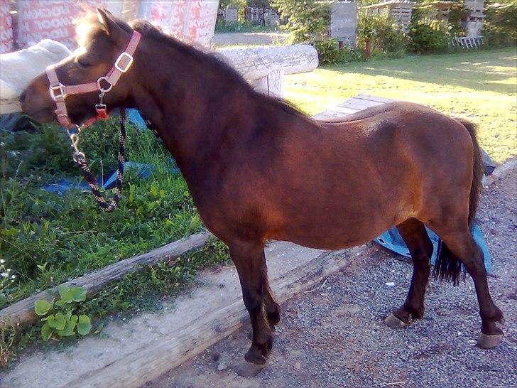 Anden særlig race Felix  - Uha, lammeskind :D 
Tak fordi I kiggede med, læg gerne en bedømmelse og kommentar ! billede 13