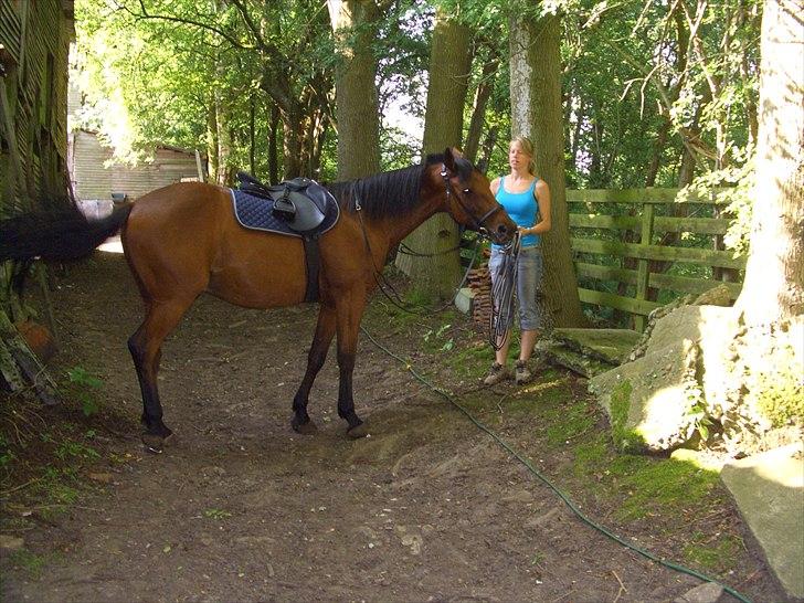 Traver ild i røven billede 11