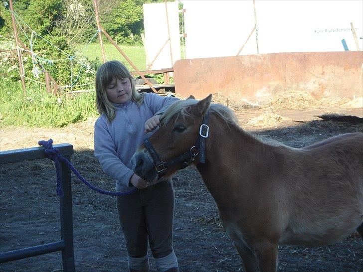 Shetlænder Ludvig. <3 Sov Sødt Min Guldklump <3 - Mig og Ludvig <3...... år 2006.. <3  billede 18