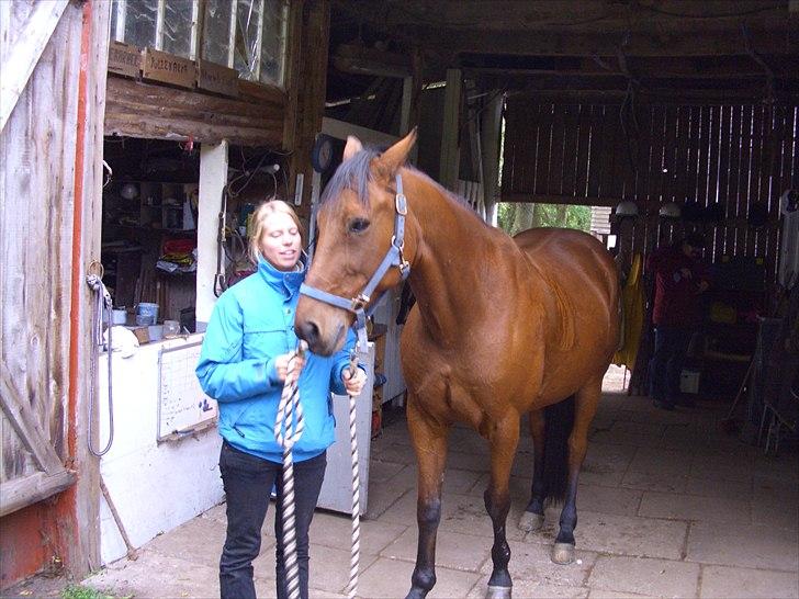 Traver ild i røven billede 12