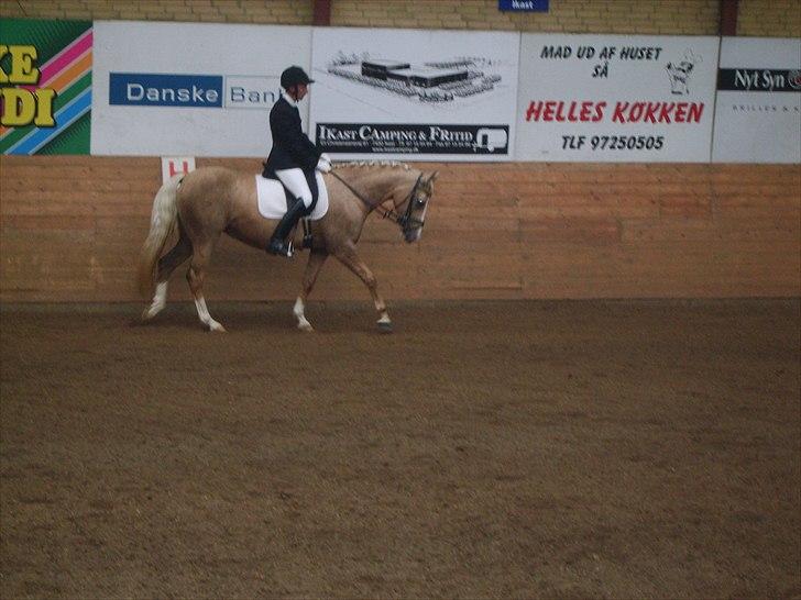 Palomino Movie Box - DSP´s championat for 7´årige, første gang de er inde - 29-08-2010 billede 13