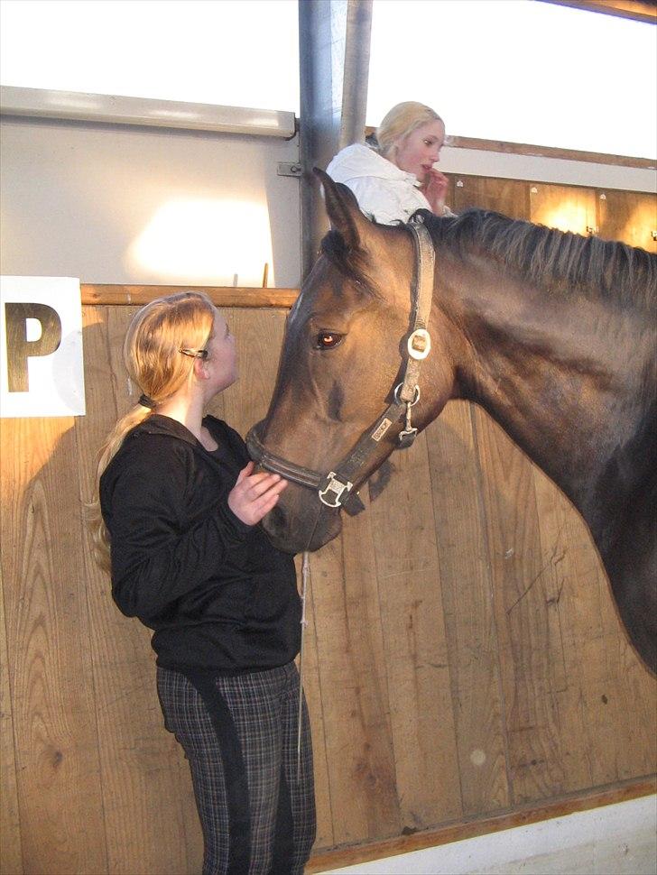 Anden særlig race Platinico - Tidl. PASSER - Jeg elsker dig ! <3 Taget af: Cecilie R. Hansen billede 5