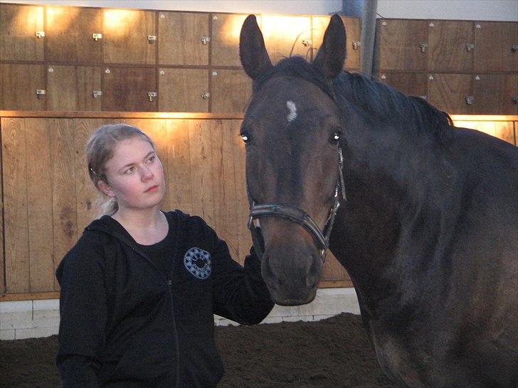 Anden særlig race Platinico - Tidl. PASSER - Du betyder bare så meget smukke hest ! <3 Taget af: Cecilie R. Hansen billede 7