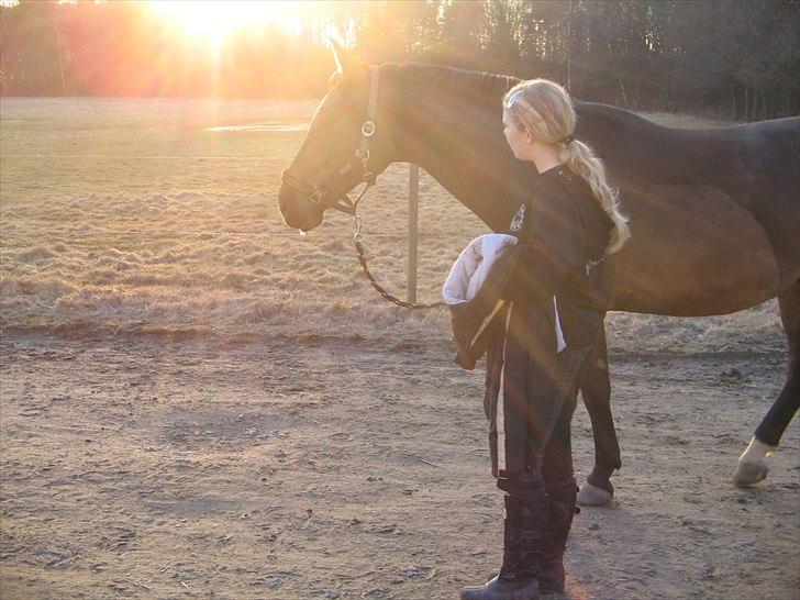 Anden særlig race Platinico - Tidl. PASSER - Mod solnedgangen, bare dig og mig ! <3 Taget af: Cecilie R. Hansen billede 8