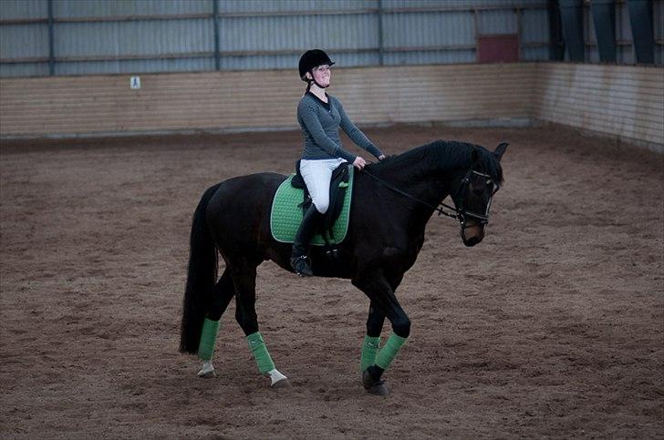 Anden særlig race Shanghai billede 9