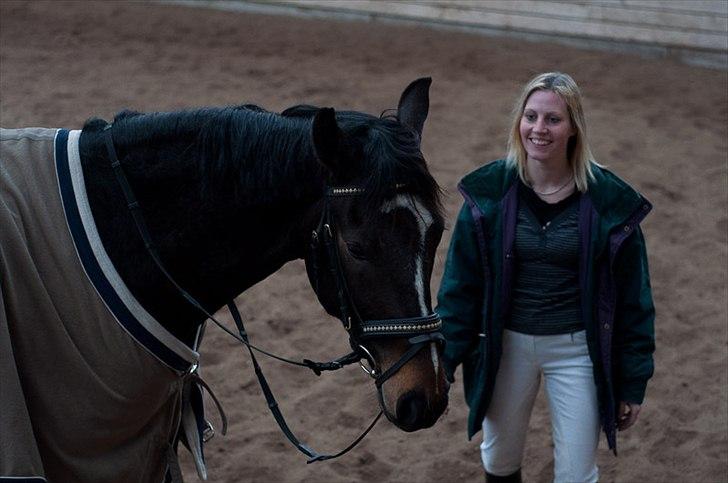 Anden særlig race Shanghai billede 12