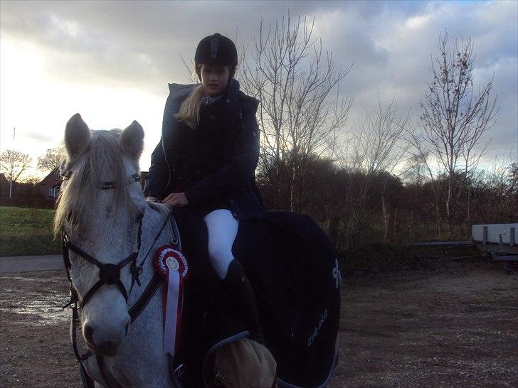 Irsk Sportspony IRISH JOKER - LB kellerup 1 plads:) billede 7