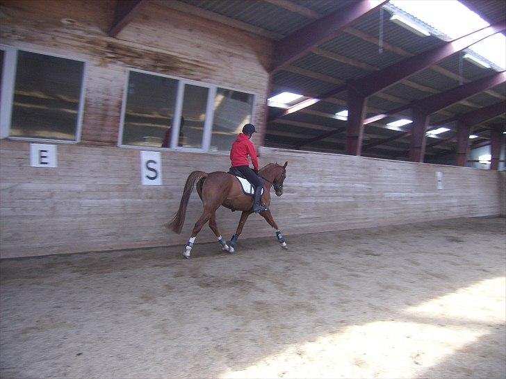 Anden særlig race Suspicious Firefly Flip SOLGT billede 16