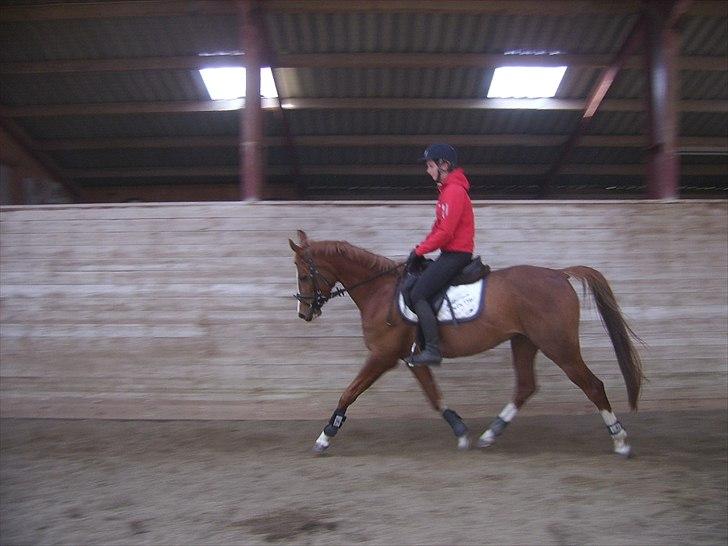 Anden særlig race Suspicious Firefly Flip SOLGT billede 17