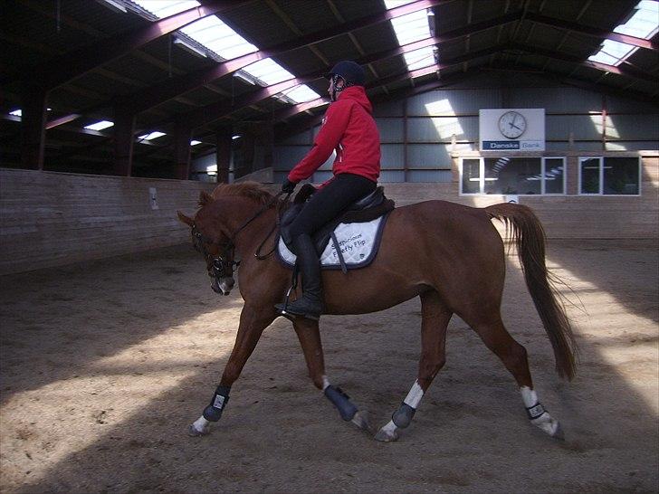 Anden særlig race Suspicious Firefly Flip SOLGT billede 18