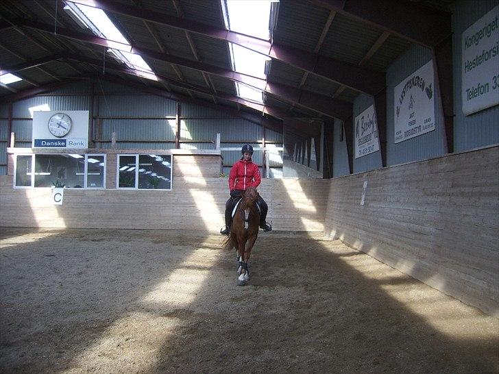 Anden særlig race Suspicious Firefly Flip SOLGT billede 19