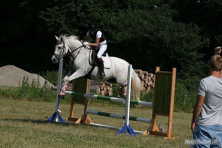 Anden særlig race Laura min prinsesse:) solgt - ld for hest i hammelev :D billede 14