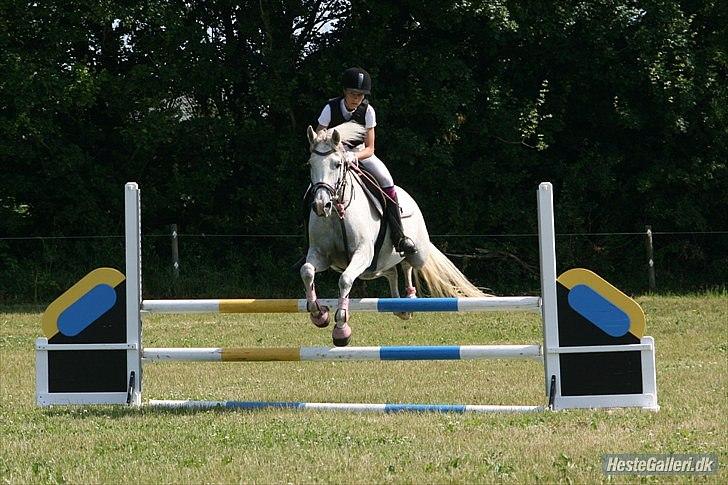 Anden særlig race Laura min prinsesse:) solgt - ld for hest i hammelev :D billede 16