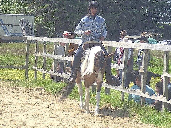 Anden særlig race Peiper - Opvisning på Westernkamp i kramnitse billede 6