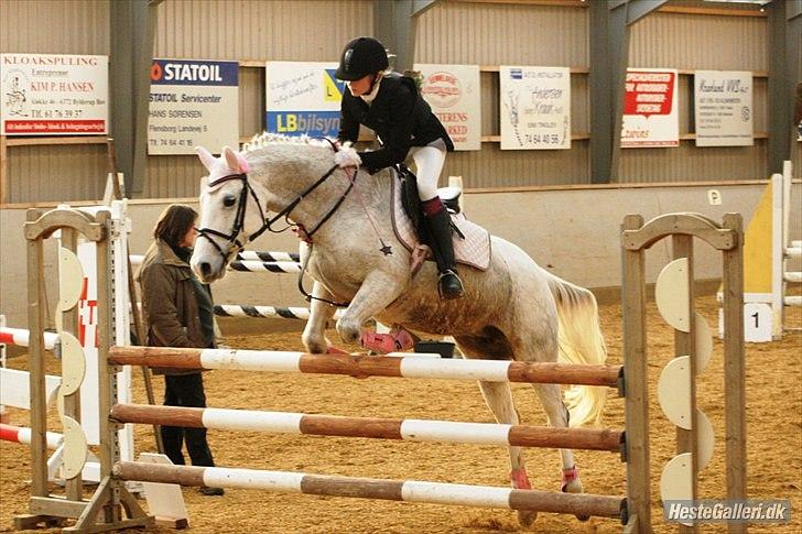 Anden særlig race Laura min prinsesse:) solgt - la pony tinglev:D billede 17