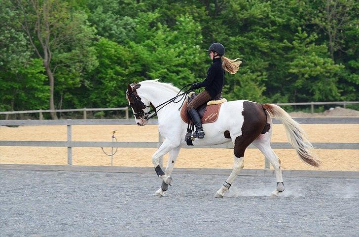 Pinto Apatchie A'nikka - Undervisning hos Line Hermann Hass. billede 7