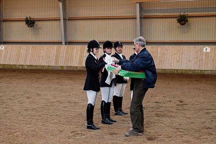 Dansk Varmblod Gørklintgårds Futurist R.I.P billede 18