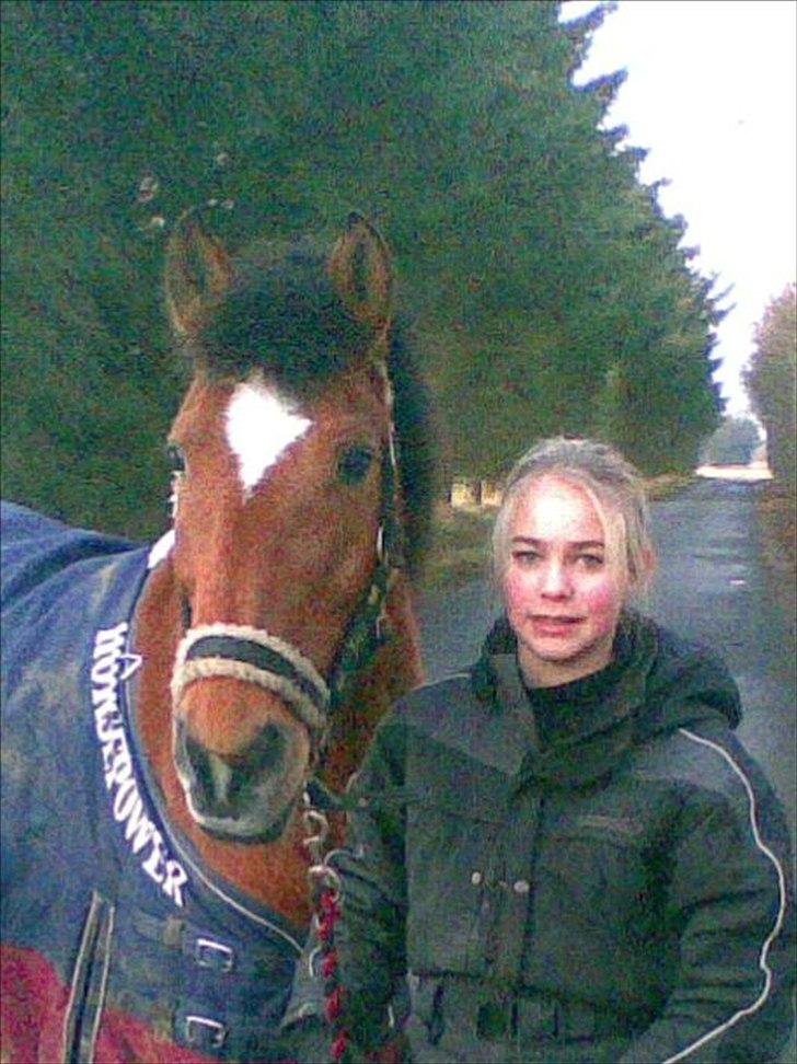 New Forest Beukenhof Iris - vinter billede <3 billede 10