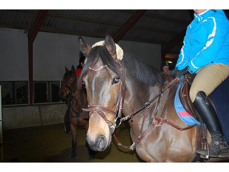 {{currentPhoto.altText}} billede {{currentPhoto.number}}