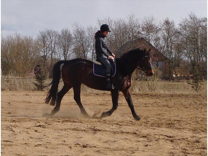 {{currentPhoto.altText}} billede {{currentPhoto.number}}