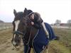 New Forest - Quark»||My Soulmate<3|| [Tidl. part]