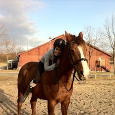 Anden særlig race Picasso