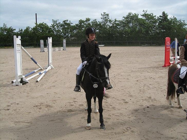 Anden særlig race Sjonnie Skywalker <3! R.I.P Min skat<3! - første rigtige stævne Le spring første plads i farsø billede 11