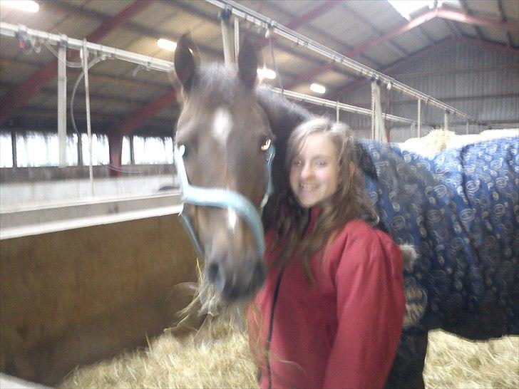 Welsh Partbred (Sec F) Marieton's Silvy<3. - Da vi havde kendt hinanden i 10 min :-) <3 billede 7