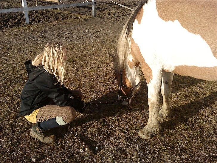 Pinto          Savannah  *SOULMATE* - Såå er er græææs!!
JUBIII!! :D
Hoovsa hvorfor er der ikk såå meget græs??
Vi hader altså bare vinter!!!
Foto: Miin far. billede 6