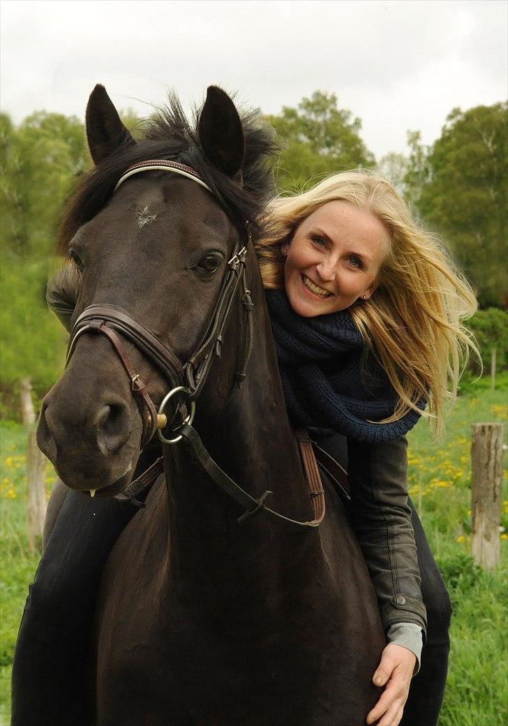 Anden særlig race Simply Gray (Sims) billede 1