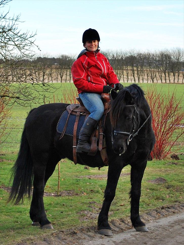 Anden særlig race Simply Gray (Sims) - Pensionist-Sims billede 5