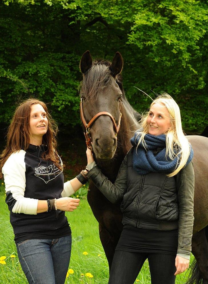 Anden særlig race Simply Gray (Sims) billede 6