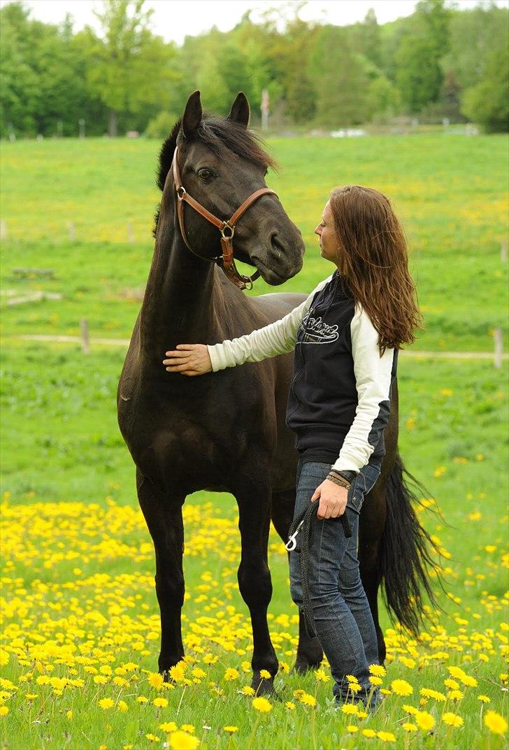 Anden særlig race Simply Gray (Sims) billede 11